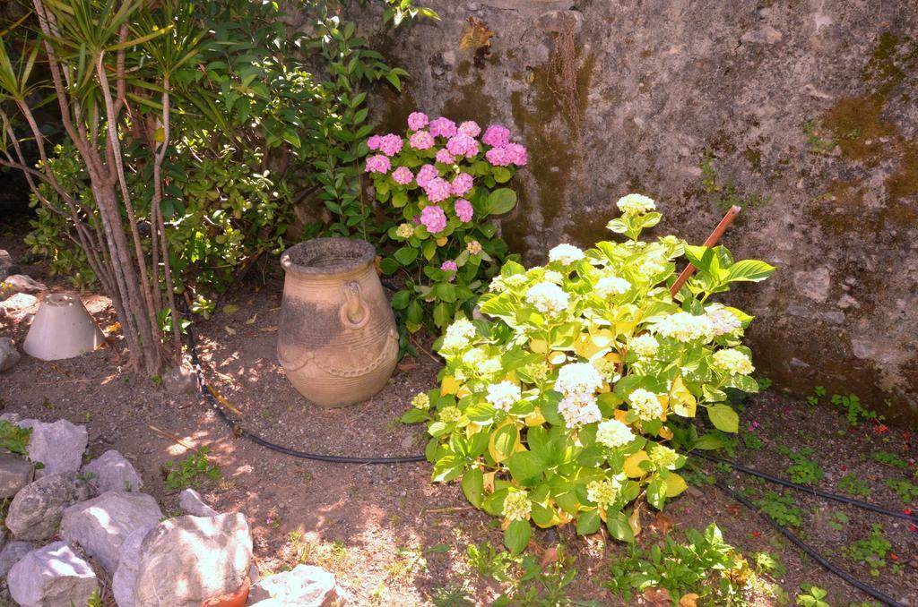 Hotel Del Sole Al Plebiscito Sapri Dış mekan fotoğraf